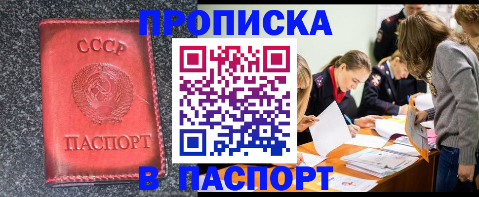 прописка для школы в Апатитах